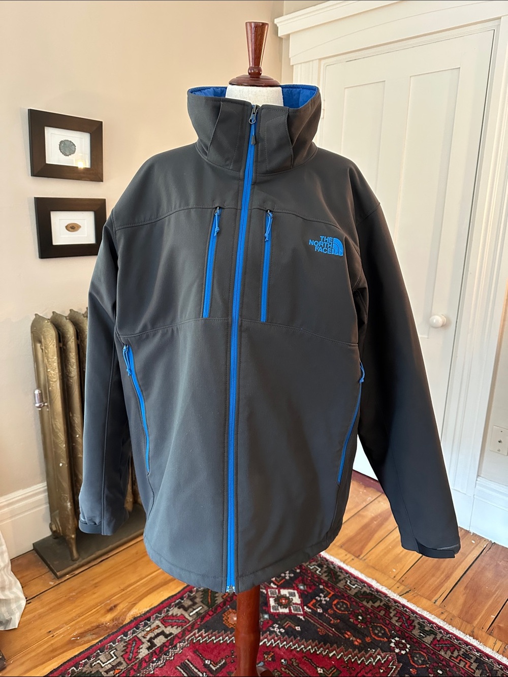 The North Face Men’s Insulated Winter Coat